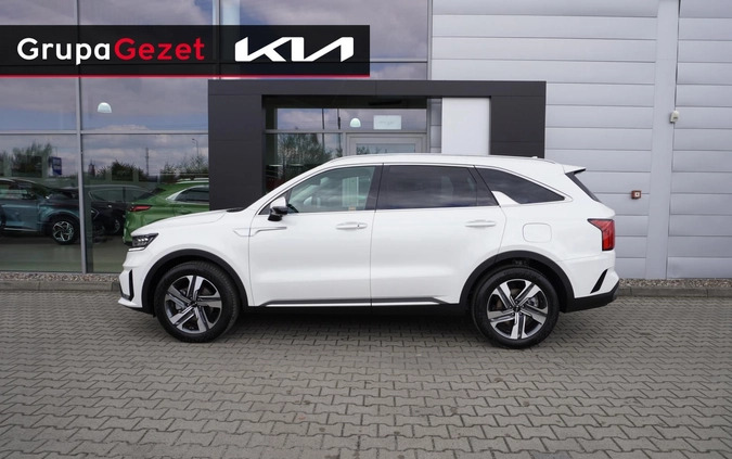 Kia Sorento cena 244900 przebieg: 5, rok produkcji 2024 z Wolbórz małe 46